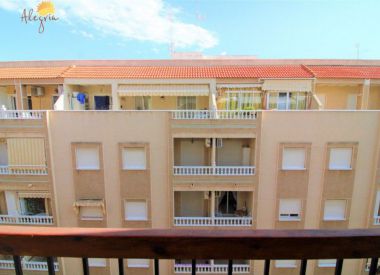 Апартаменты в Торревьехе (Коста Бланка), купить недорого - 68 900 [72615] 3