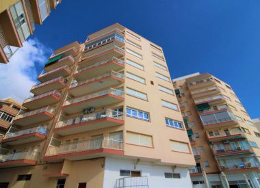 Апартаменты в Торревьехе (Коста Бланка), купить недорого - 137 900 [72599] 5