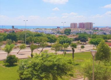 Апартаменты в Торревьехе (Коста Бланка), купить недорого - 146 900 [72583] 3