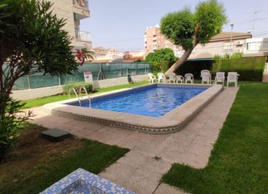 Апартаменты в Торревьехе (Коста Бланка), купить недорого - 61 900 [72529] 1