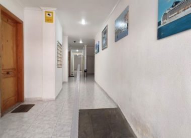 Апартаменты в Торревьехе (Коста Бланка), купить недорого - 95 900 [72523] 9