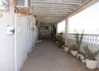 Апартаменты в Торревьехе (Коста Бланка), купить недорого - 180 000 [72496] 3