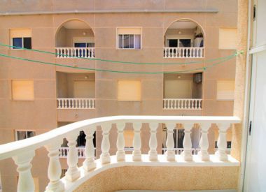 Апартаменты в Торревьехе (Коста Бланка), купить недорого - 49 900 [72451] 8
