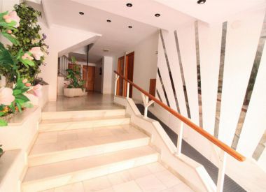Апартаменты в Торревьехе (Коста Бланка), купить недорого - 64 900 [72430] 3