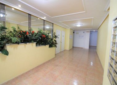 Апартаменты в Торревьехе (Коста Бланка), купить недорого - 58 900 [72427] 9