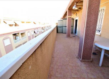 Апартаменты в Торревьехе (Коста Бланка), купить недорого - 88 900 [72395] 1