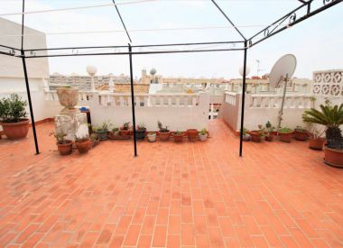 Апартаменты в Торревьехе (Коста Бланка), купить недорого - 83 900 [72335] 1